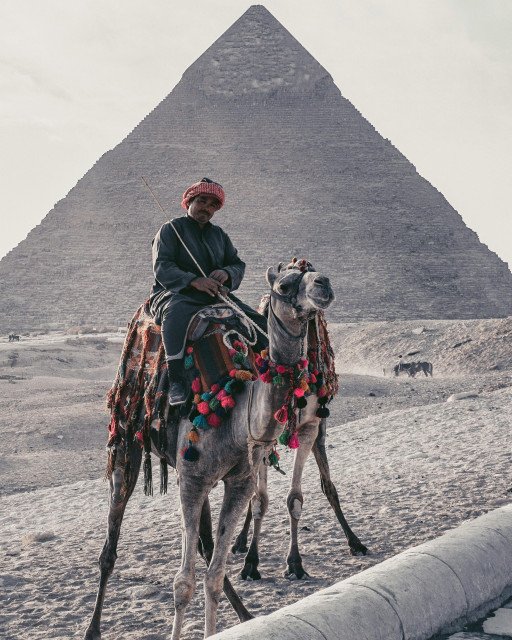 Discover the Secrets of Egypt with Zahi Hawass Tours: An Unforgettable Journey into History