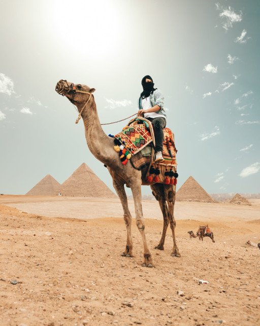 Experience the Wonders of Egypt with Dr. Hawass Tours